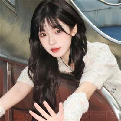 杜鲁门总统传 封面
